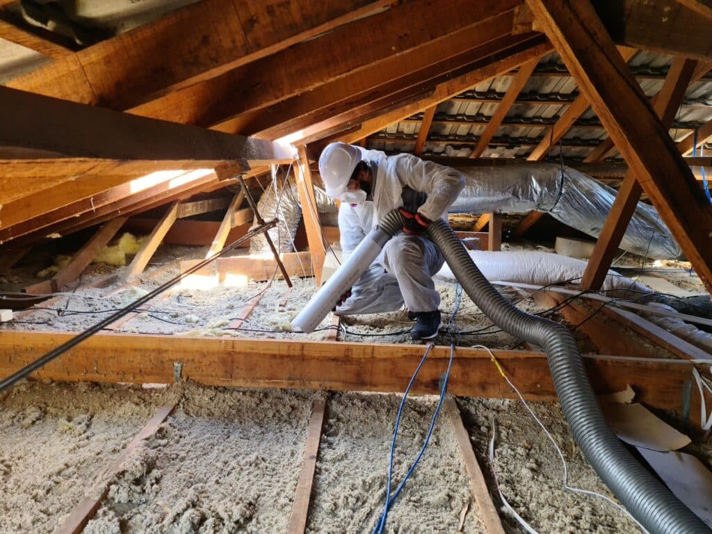 Insulation Removal in Hastings